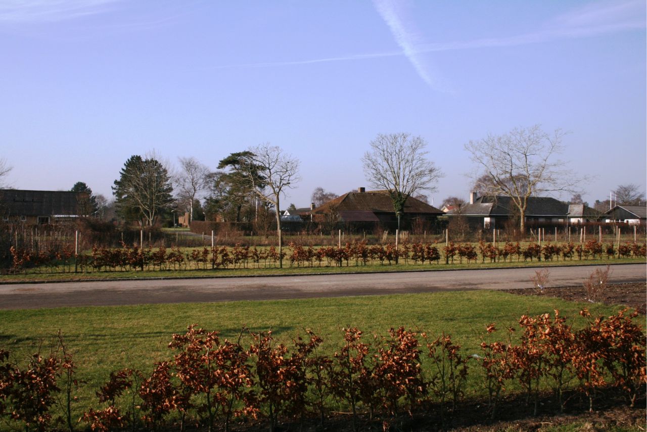 image 01